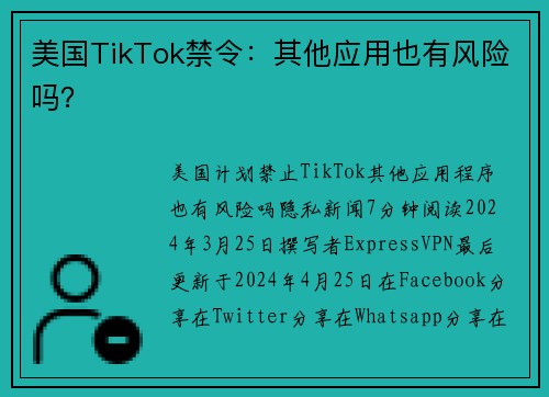 美国TikTok禁令：其他应用也有风险吗？ 